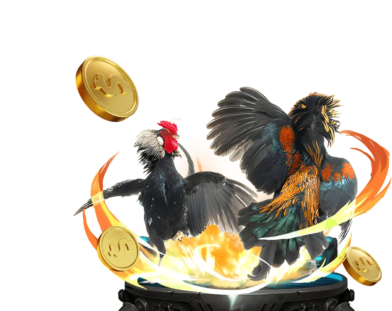 Đấu gà Thomo trực tiếp